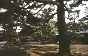 Daitoku-ji Butsuden (Hondō)